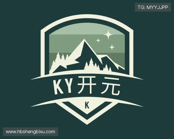 解读开元集团